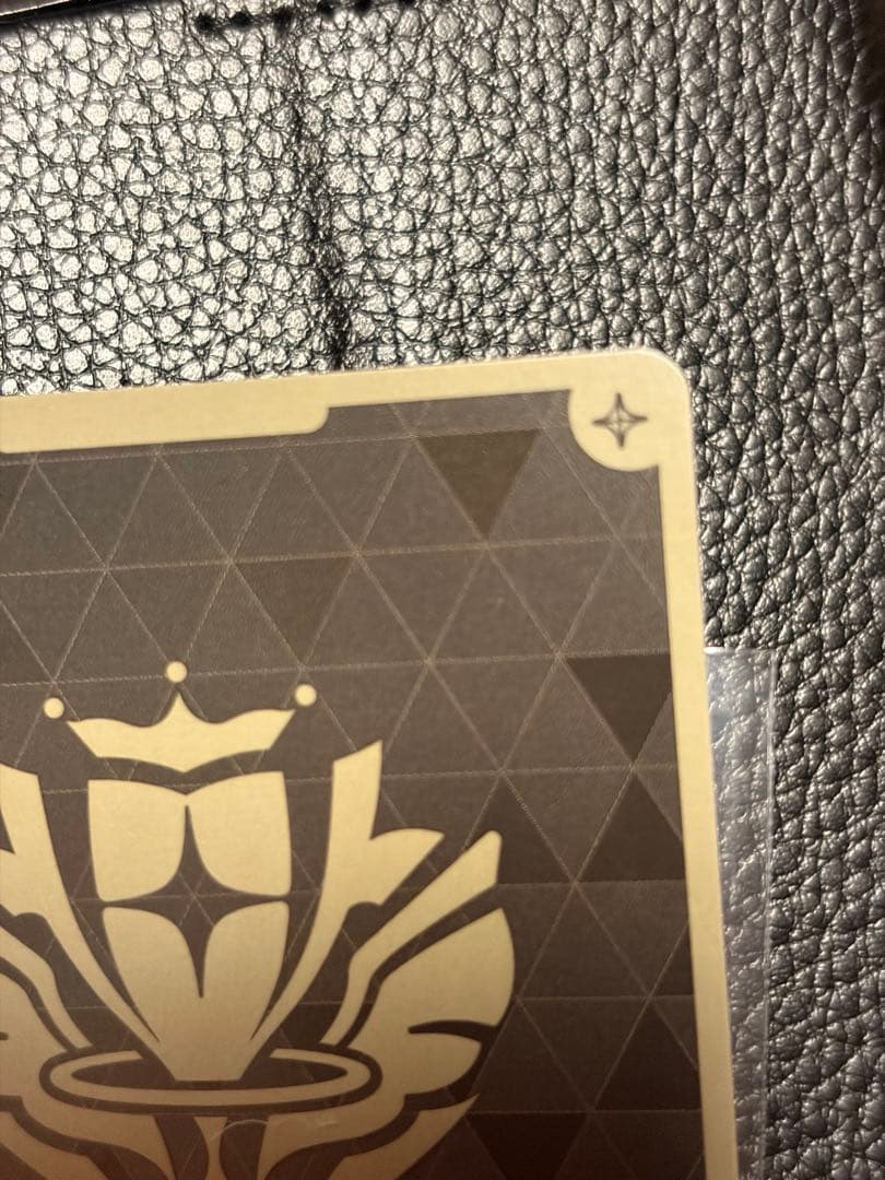 春先のどか プロモ hSD01-016