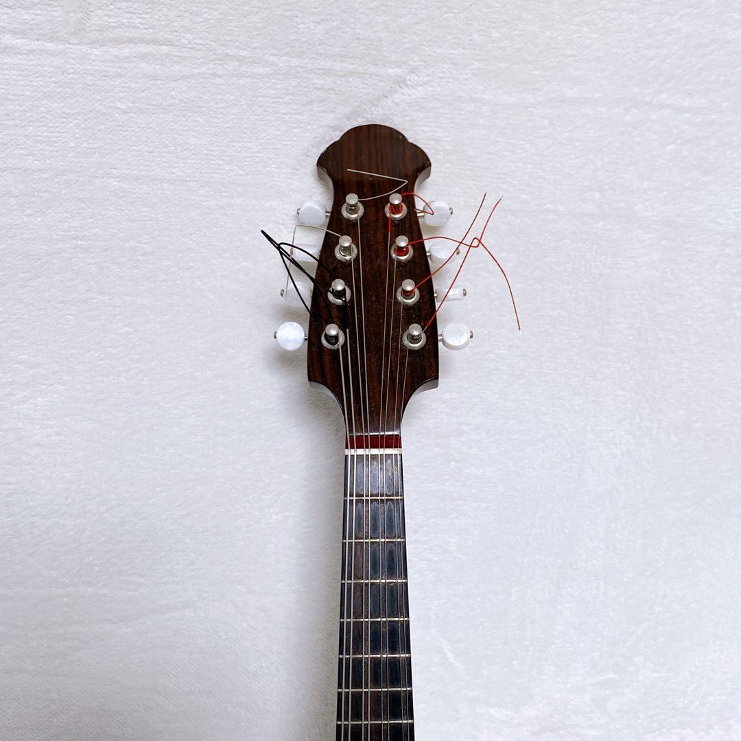 入手困難 マンドリン 藤丸常夫 NO.200 希少 セミハードケース付 おまけ