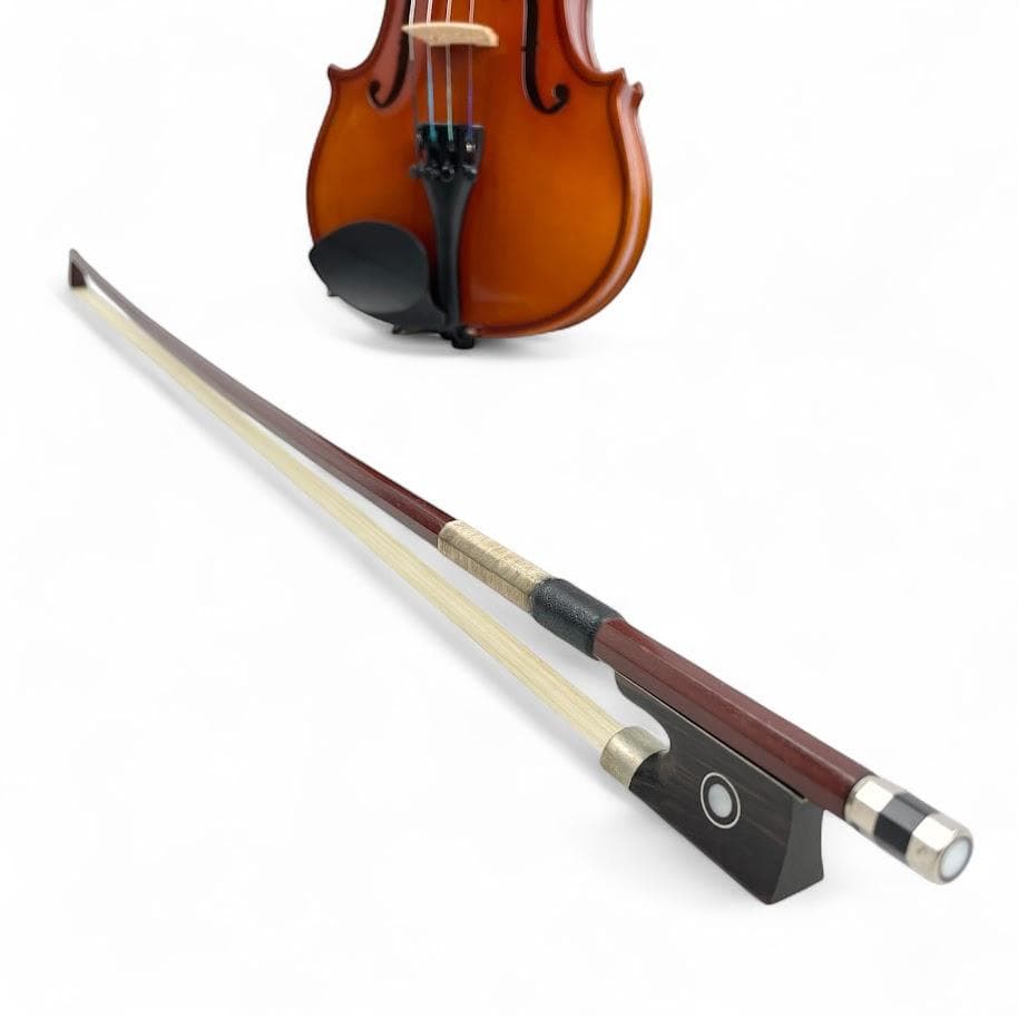 美品○Carlo giordano○ VS-1 バイオリン 1/8 2010年製 - メルカリ