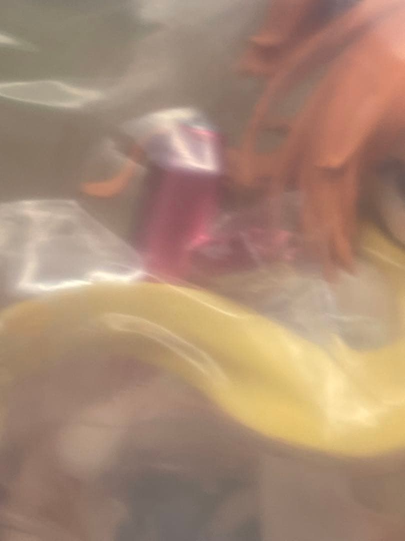 外箱未開封 因幡めぐる サノバウィッチ 1/7 フィギュア