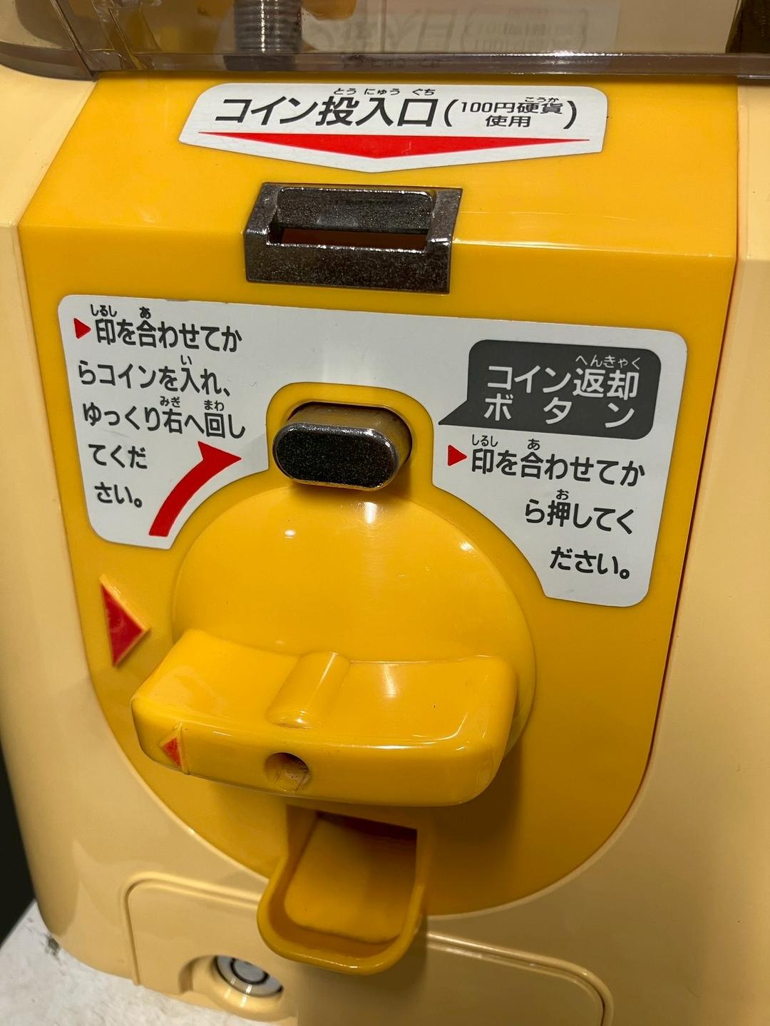 櫻庭ネク様】特価品SHO-004C 【ユージン】スリムボーイハーフサイズ