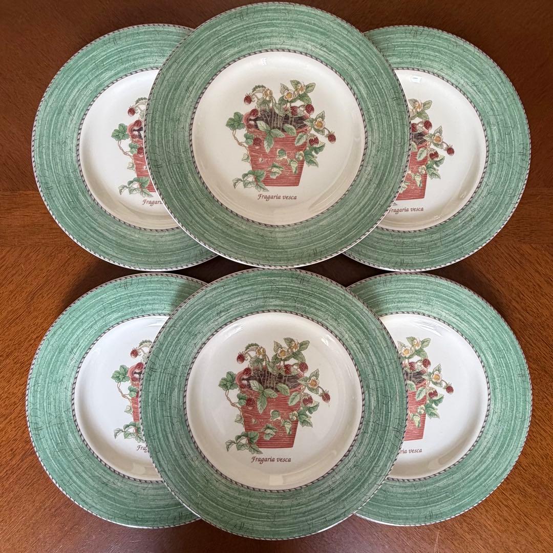 【美品】英国製　ウェッジウッド★サラズガーデン★グリーンデザート皿　6枚
