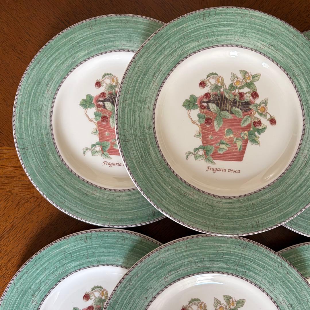 【美品】英国製　ウェッジウッド★サラズガーデン★グリーンデザート皿　6枚