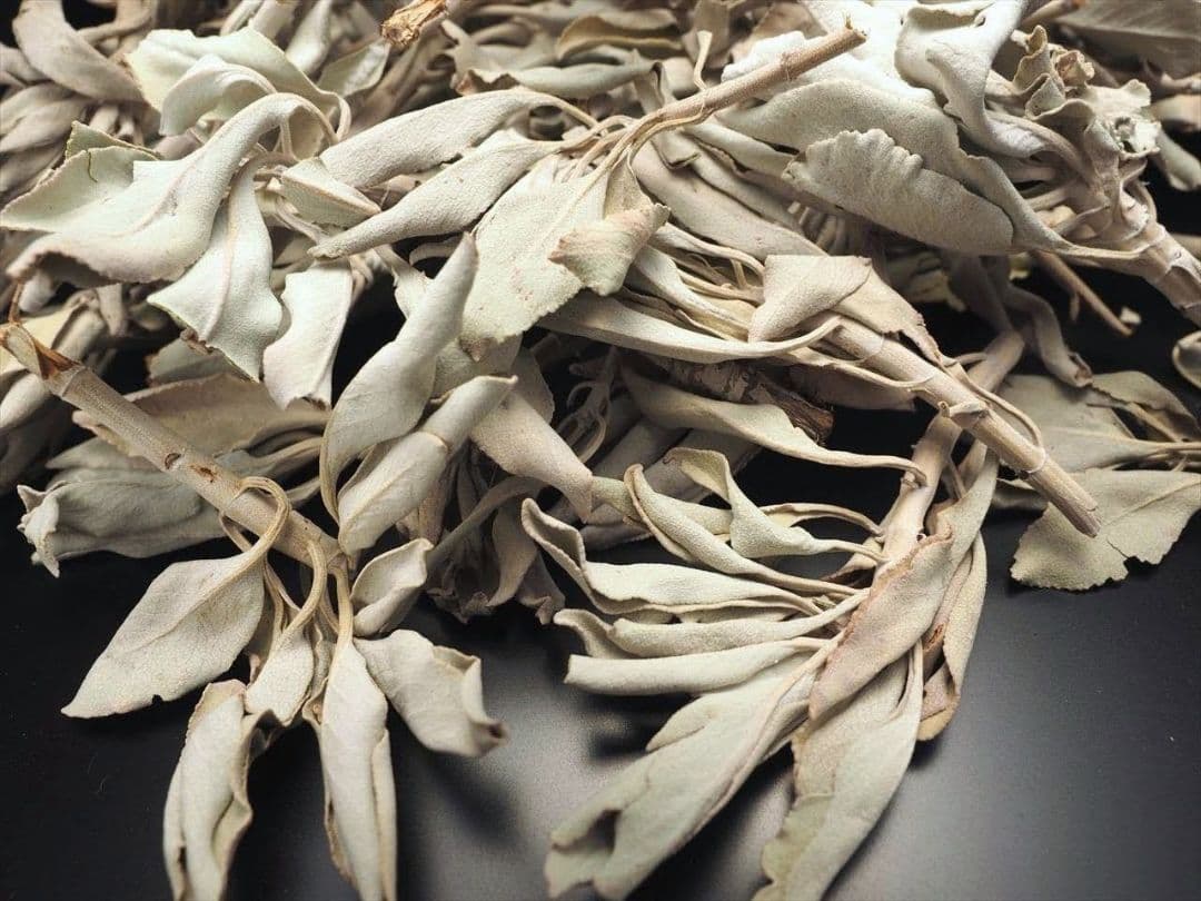 ★特選再入荷★無農薬カリフォルニア産【箱配送1kg高品質ホワイトセージ】❤️