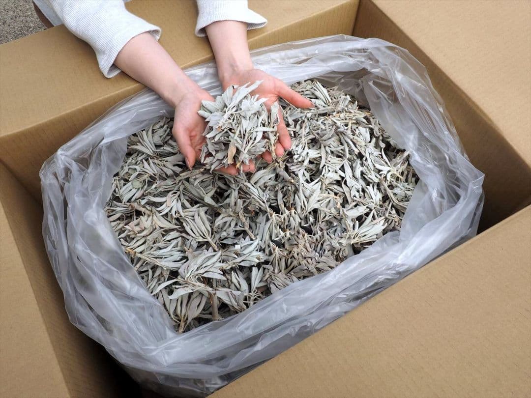 ★特選再入荷★無農薬カリフォルニア産【箱配送1kg高品質ホワイトセージ】❤️