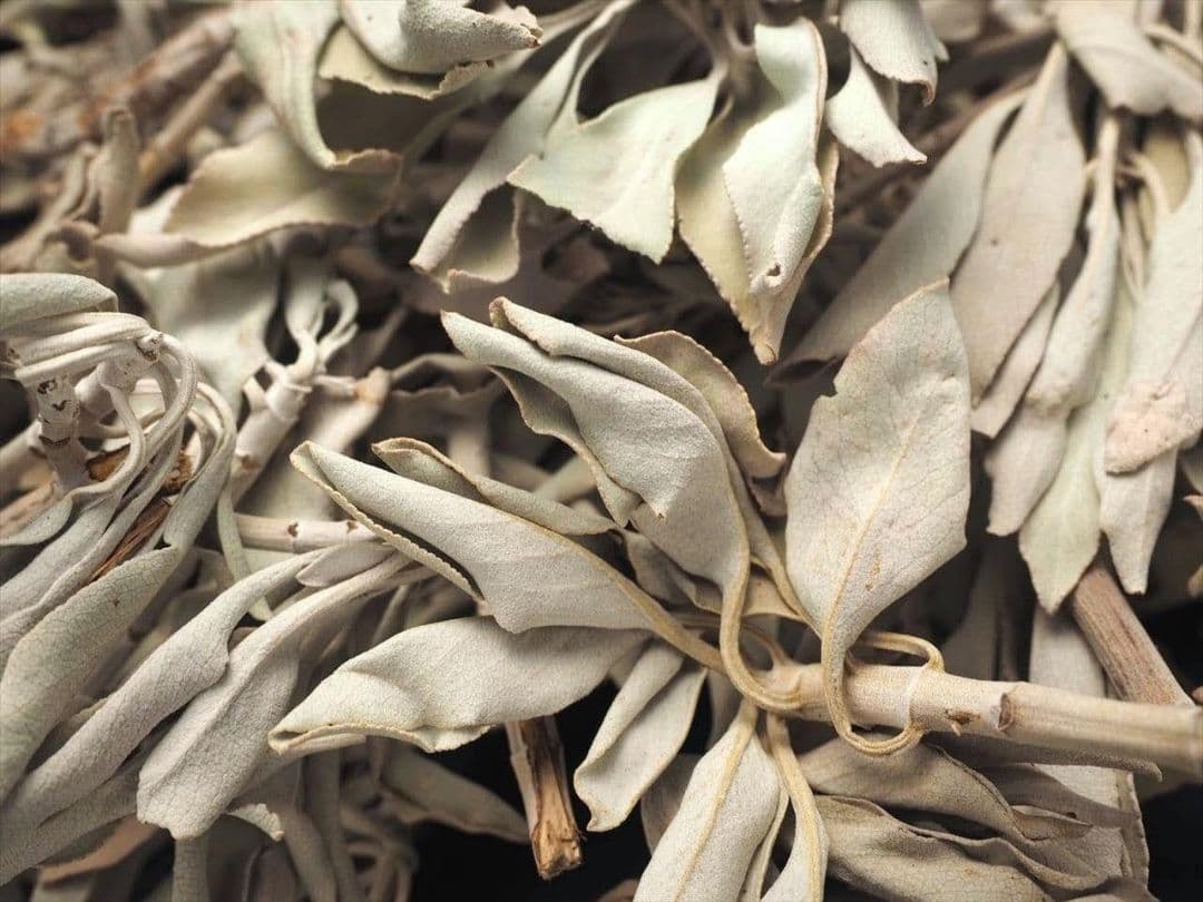 ★特選再入荷★無農薬カリフォルニア産【箱配送1kg高品質ホワイトセージ】❤️