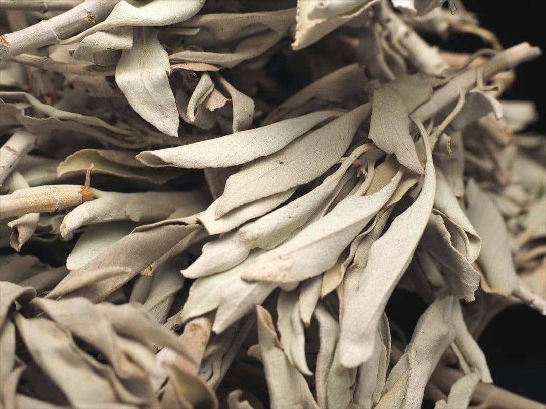 ★特選再入荷★無農薬カリフォルニア産【箱配送1kg高品質ホワイトセージ】❤️