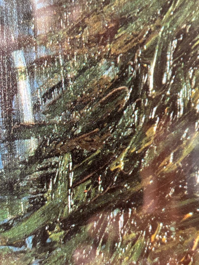 74.5cmフィンセント・ファン・ゴッホ「夜のカフェテラス」ファイン