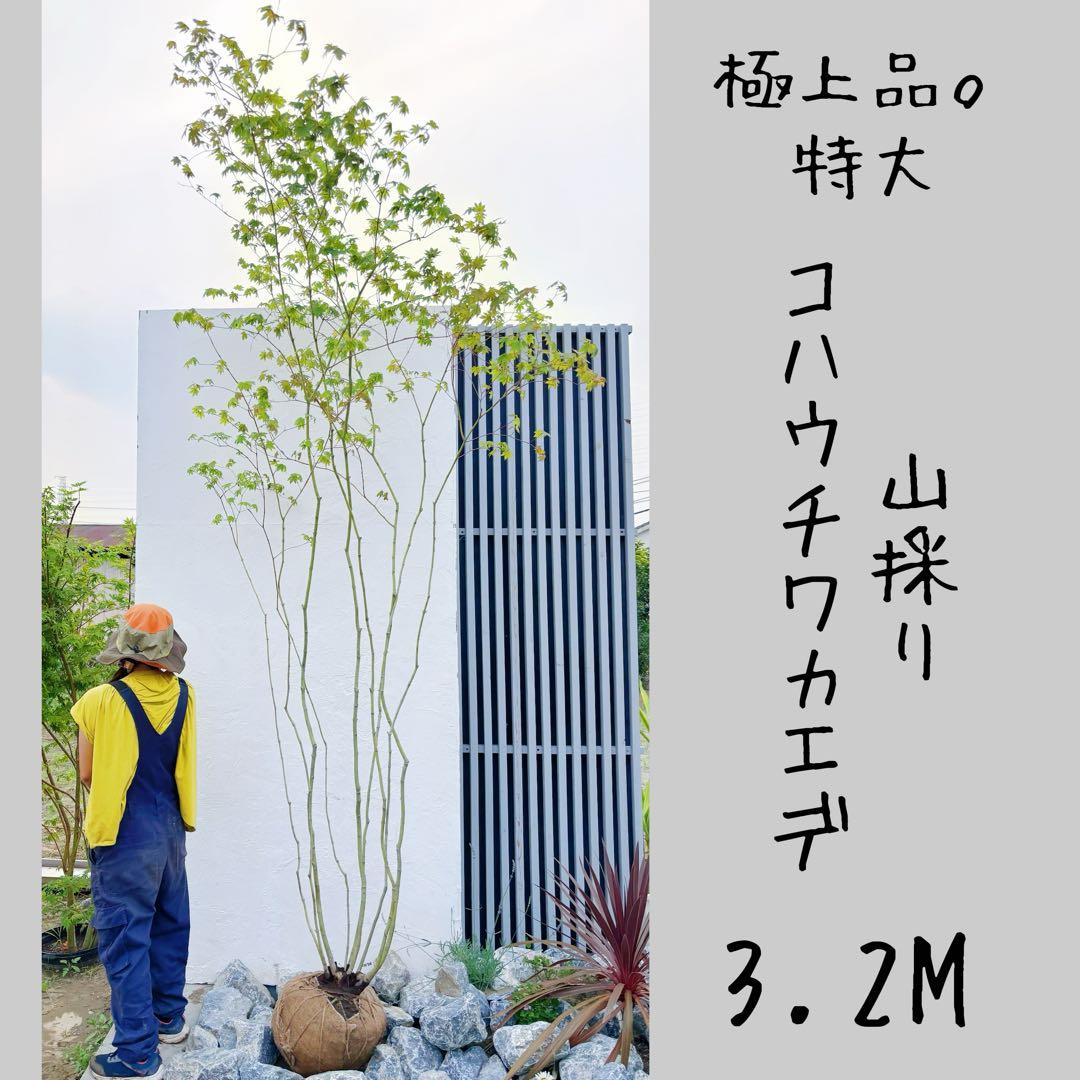 shirou34リクエスト3点