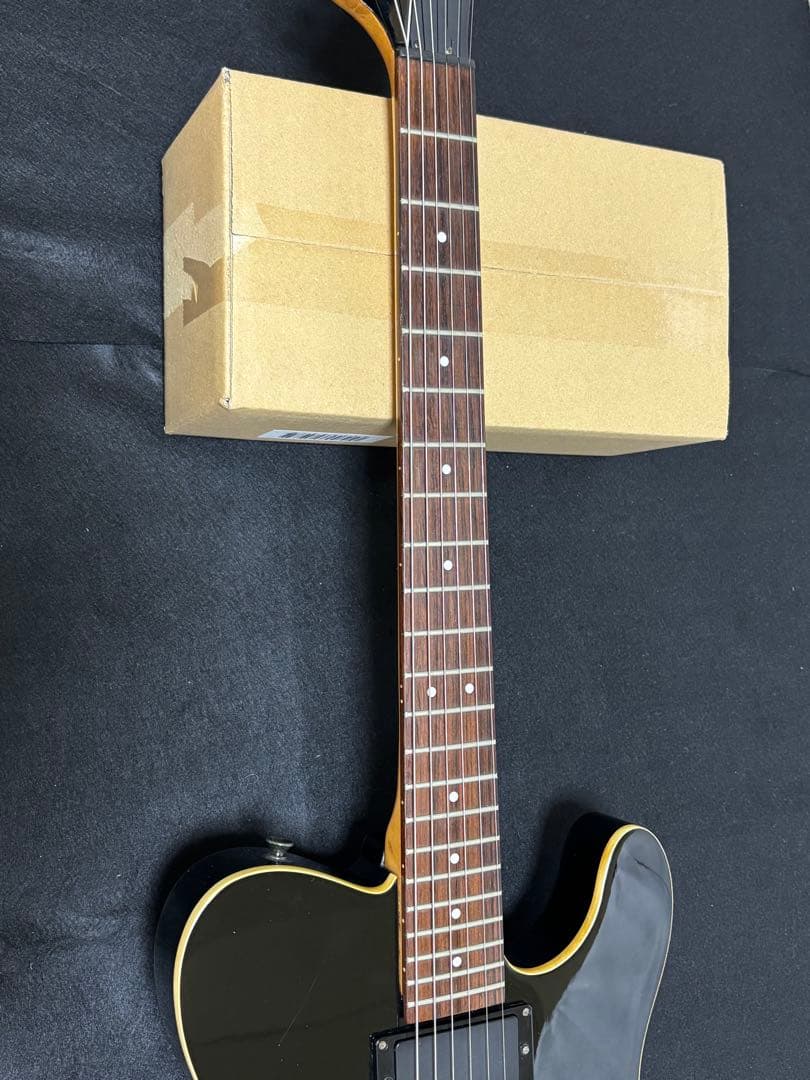 フェルナンデス TEJ LIMITED EDITION 2ハム