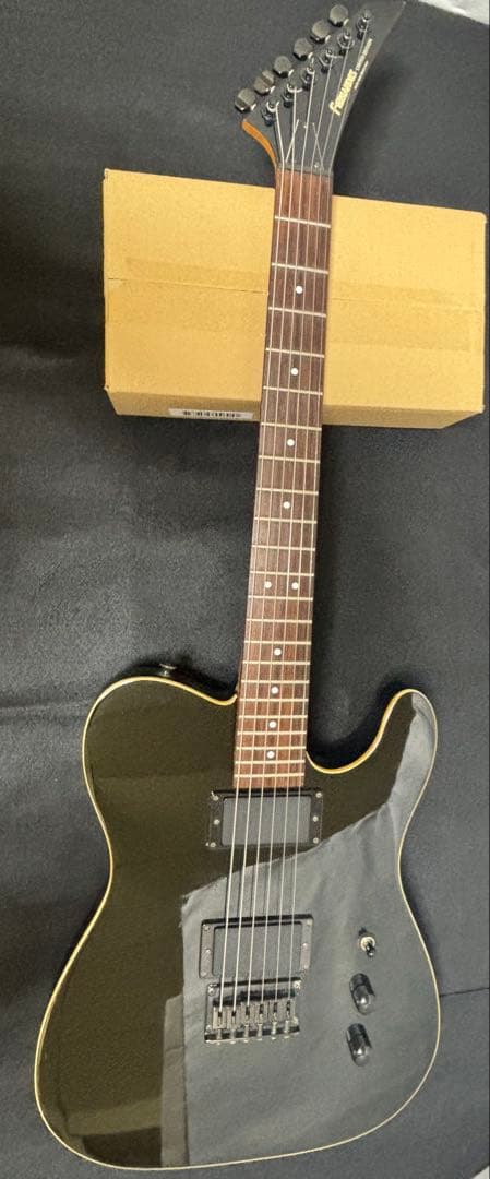 フェルナンデス TEJ LIMITED EDITION 2ハム