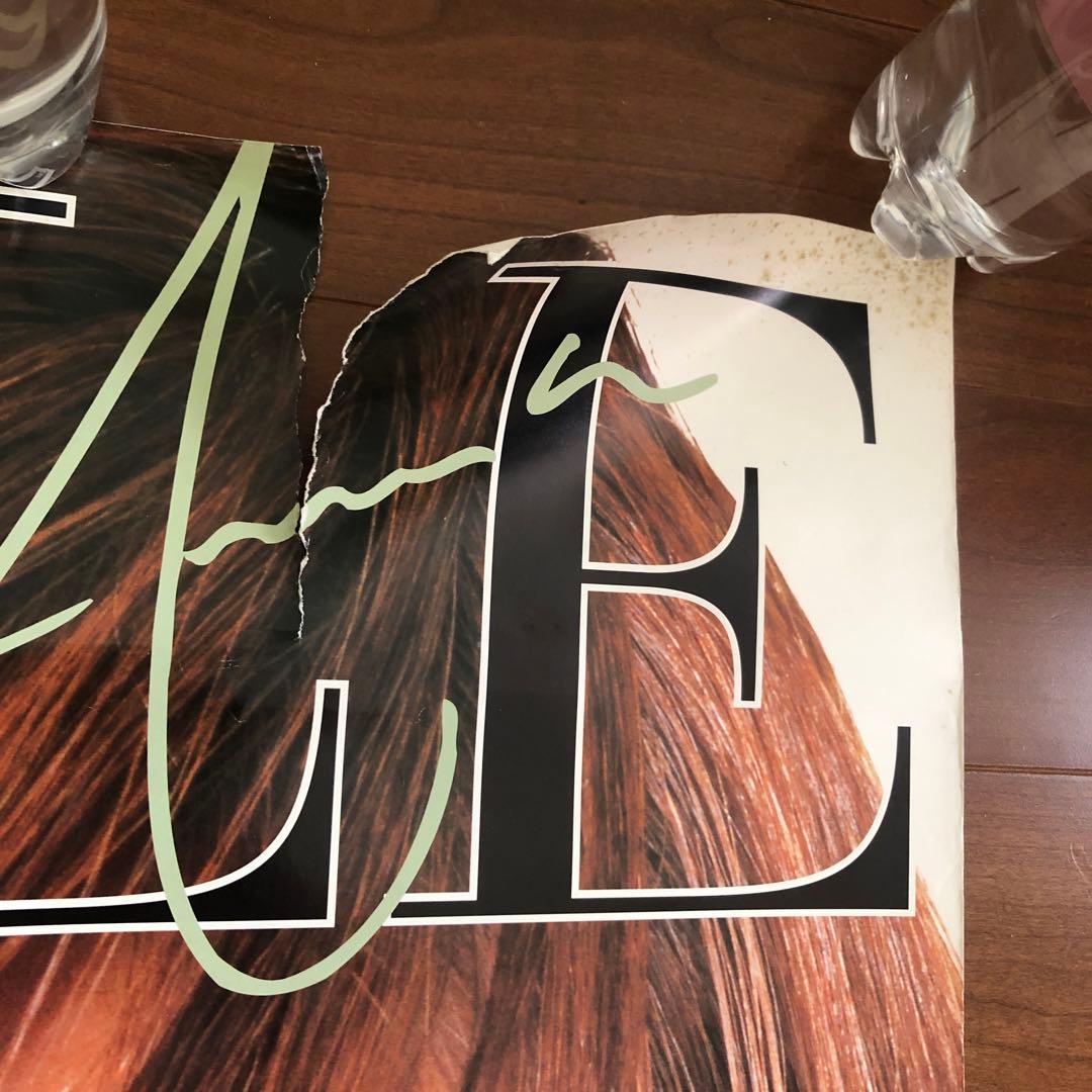 難あり　梅宮アンナ B1特大 ポスター DVD STYLE Annaパナソニック