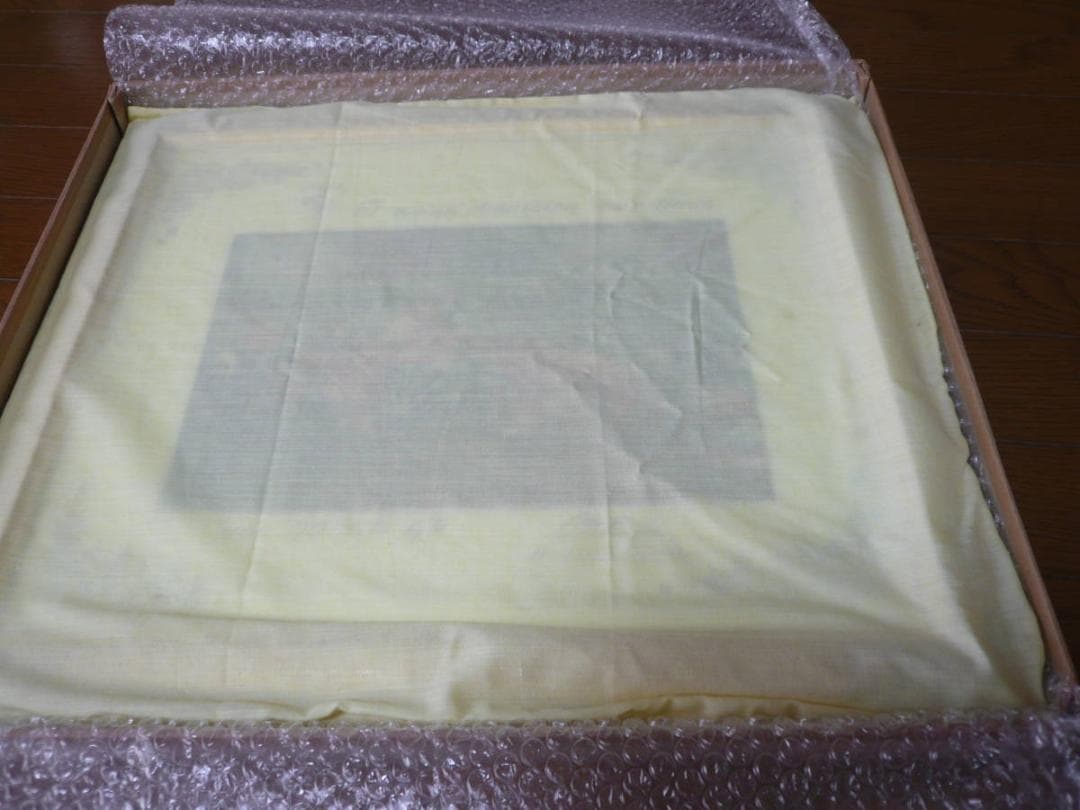 M・シューマッハ 2006JapanGP サイン入りフォト