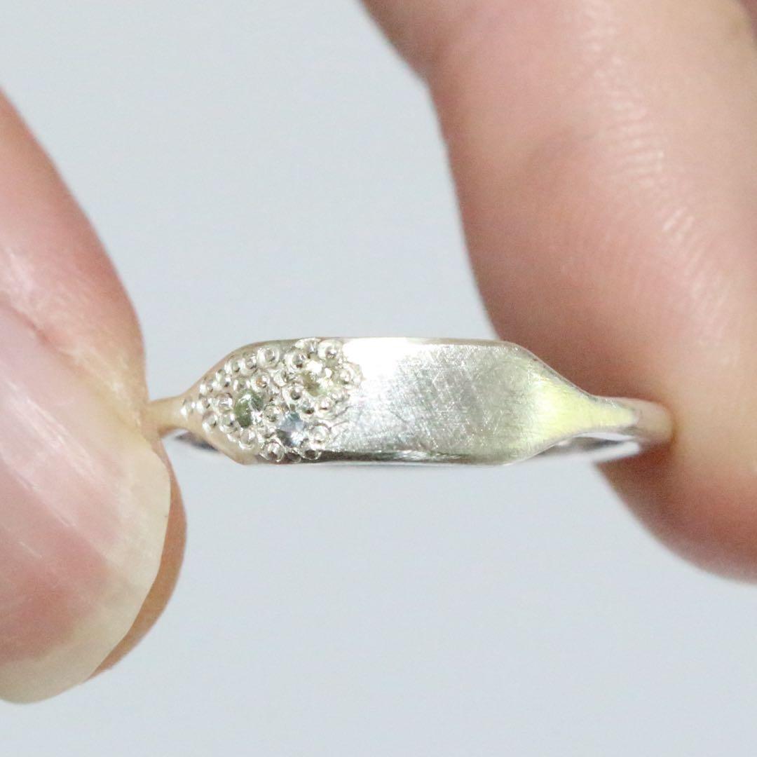 サファイアミル打ち留めシルバープレートデザインリング約12号