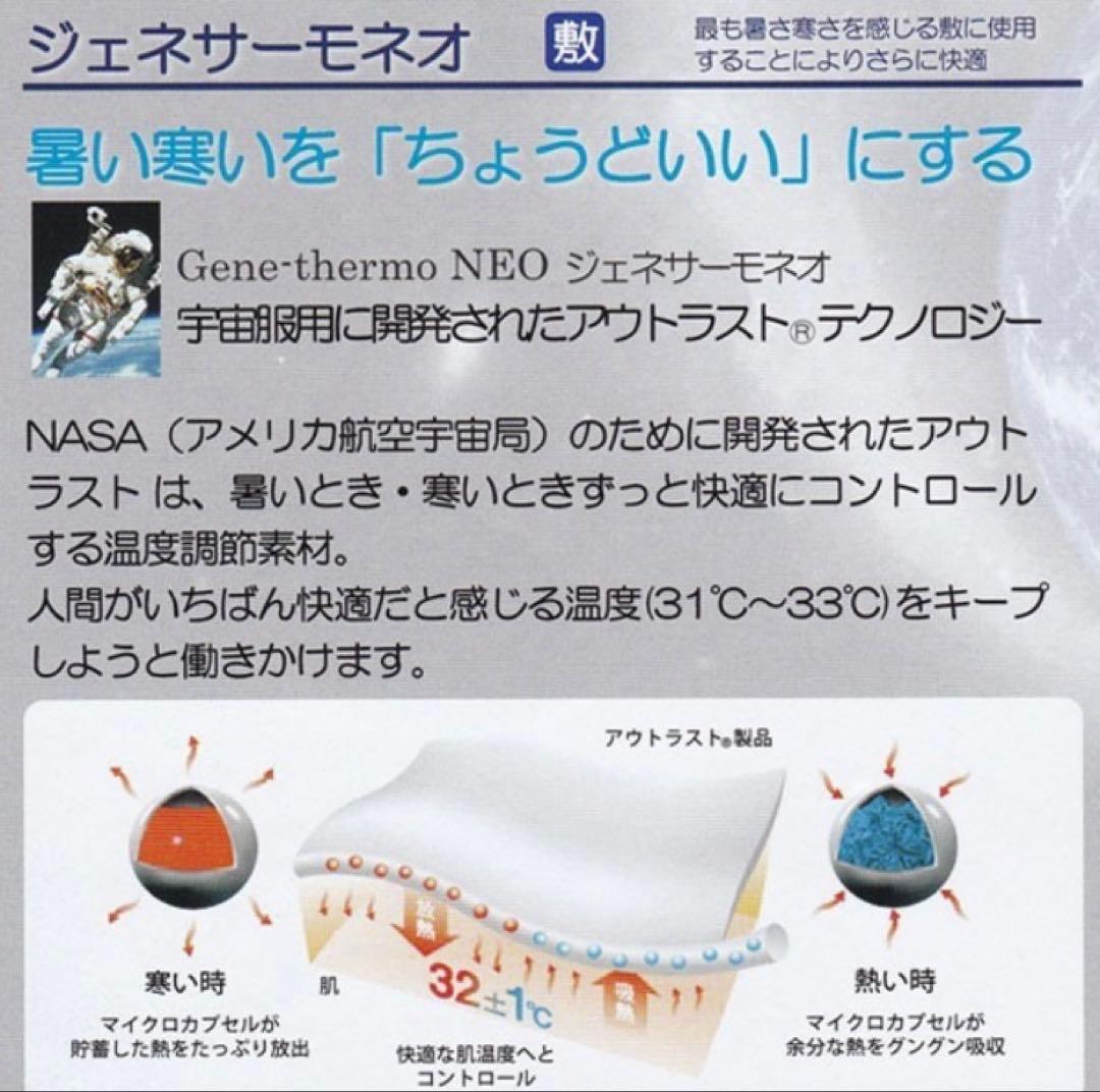【送料無料】プラチナウェーブ寝具　シングル敷パットZO-LS