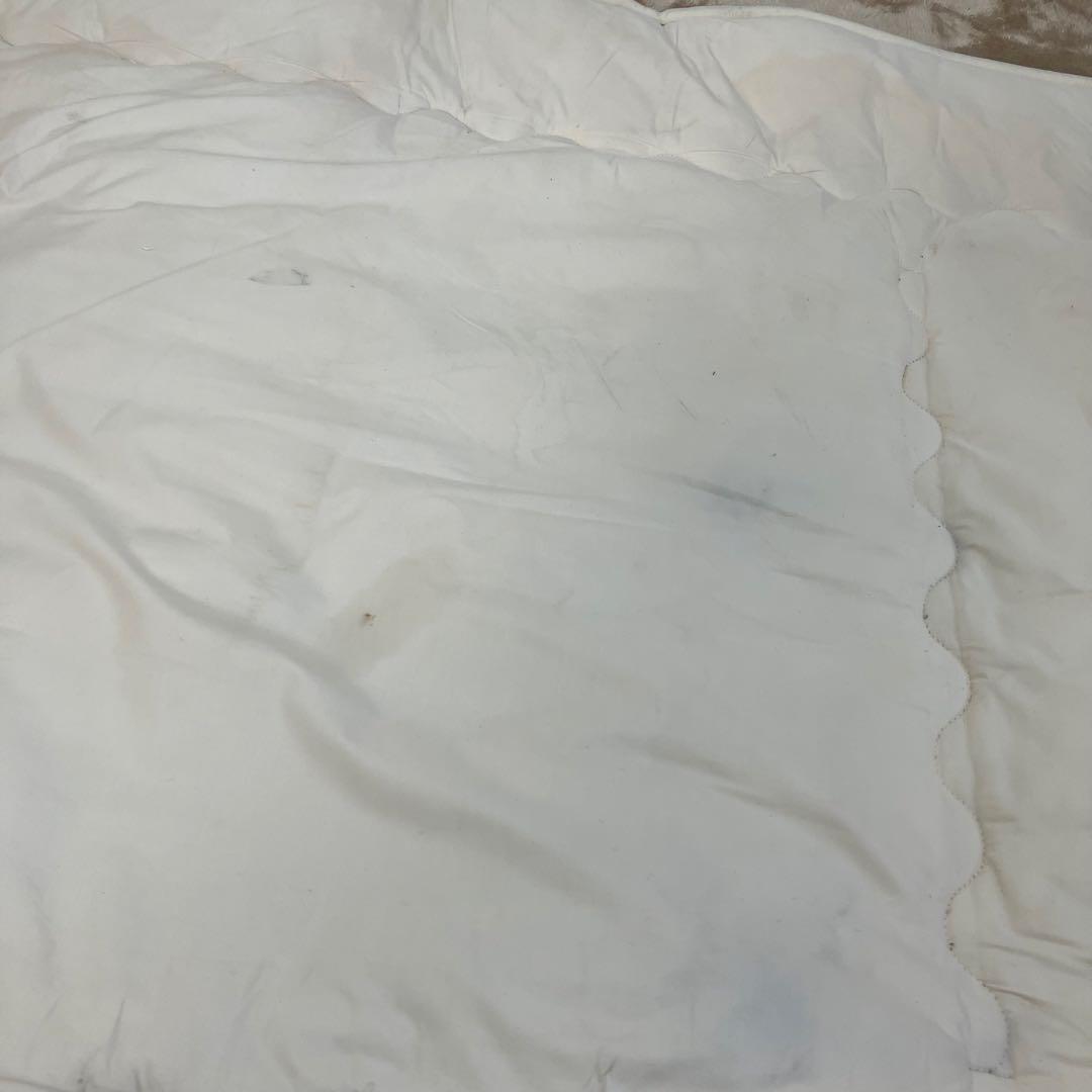 【送料無料】プラチナウェーブ寝具　シングル敷パットZO-LS