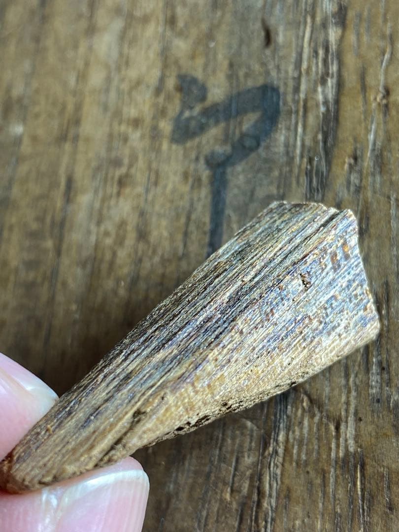 伽羅 沈香 香木 香道具