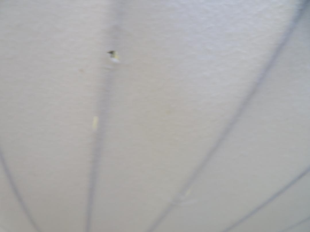 正規品■ハーマンミラー■ジョージネルソン■バブルランプ■ラージサイズ■ペンダント