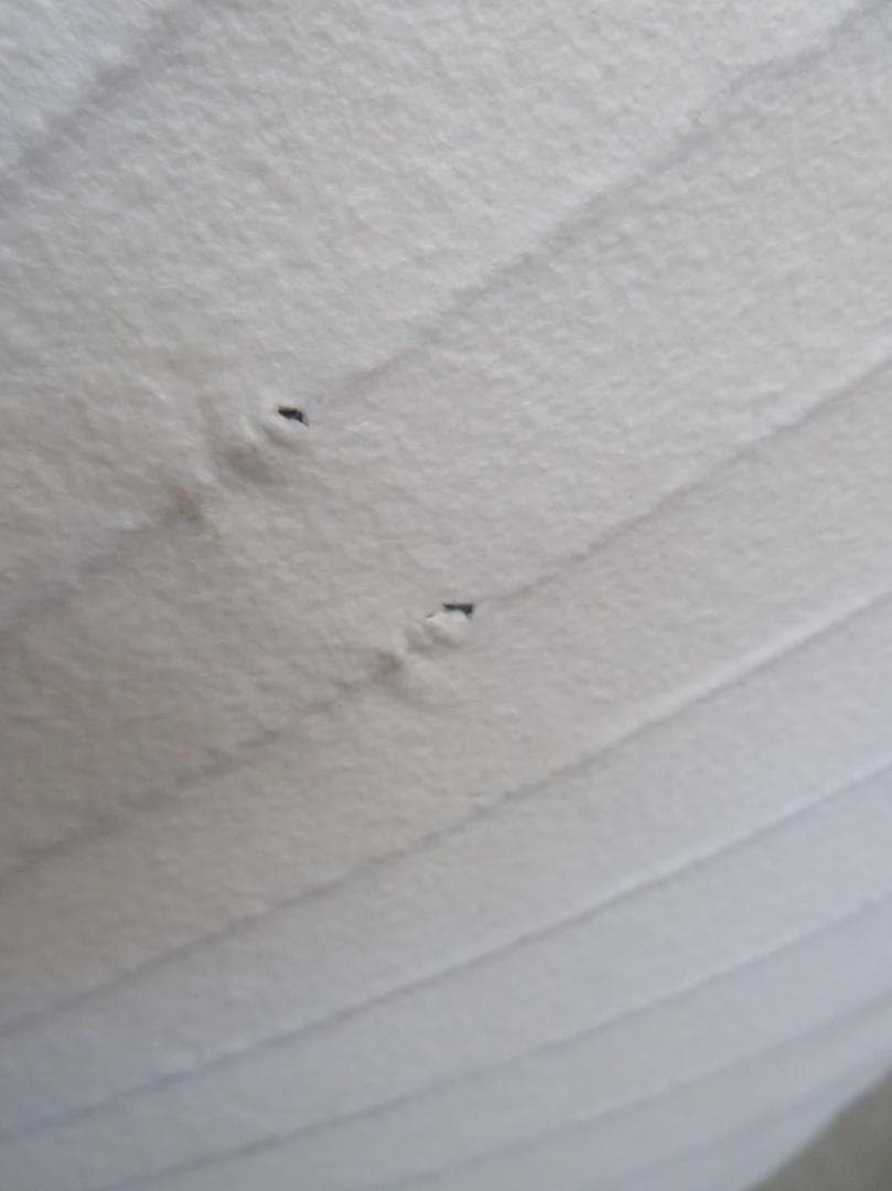 正規品■ハーマンミラー■ジョージネルソン■バブルランプ■ラージサイズ■ペンダント