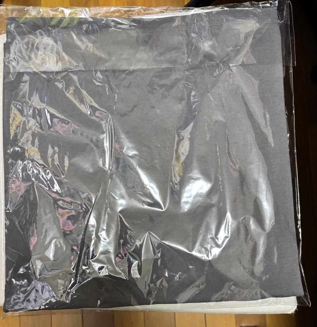 oasis グレー Tシャツ M 日本限定 赤富士 富士山 - メルカリ