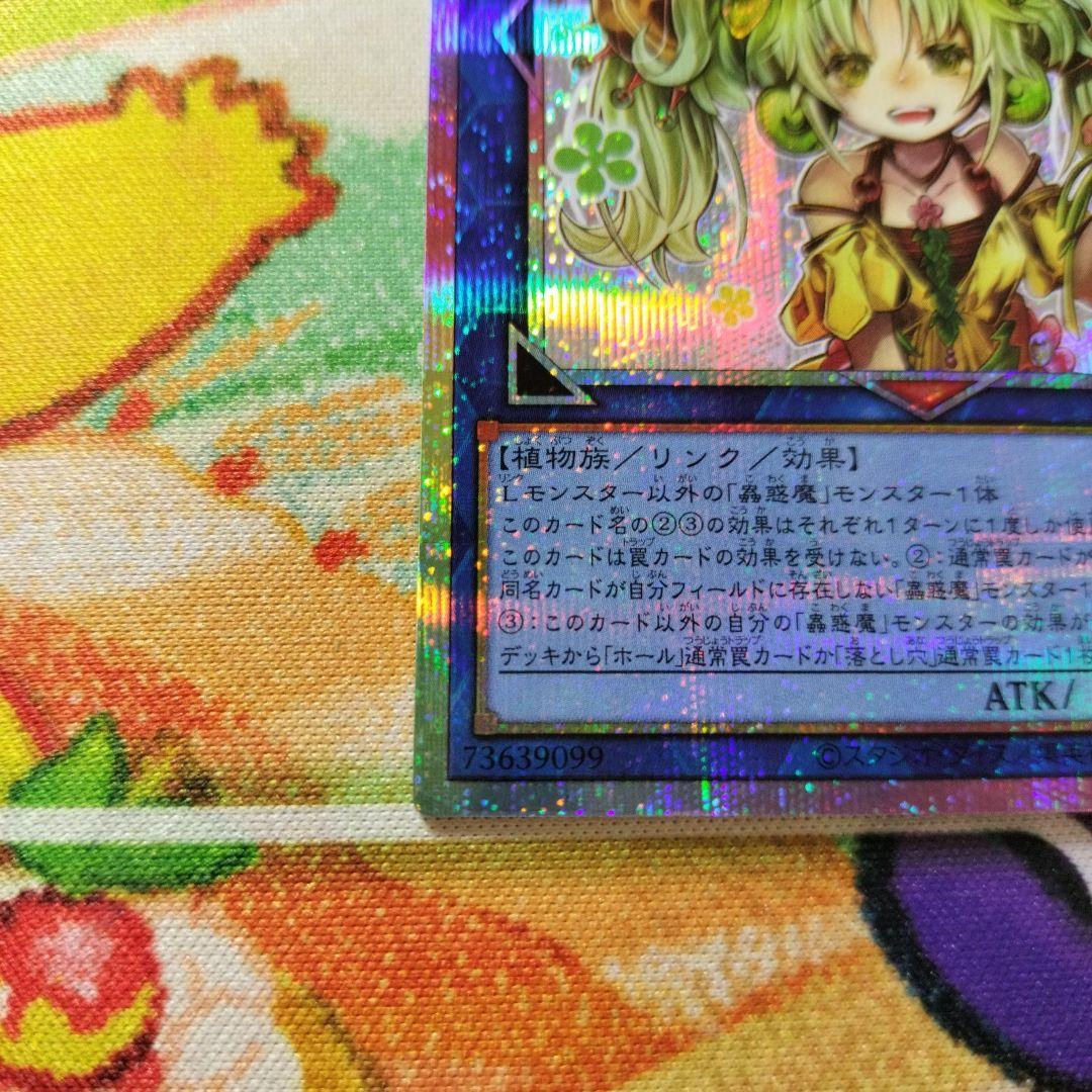 遊戯王 セラの蟲惑魔 プリズマ プリシク スタンプエディション 美品