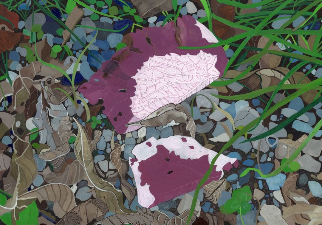 《送料無料》原画「枯れた花びら」イラスト