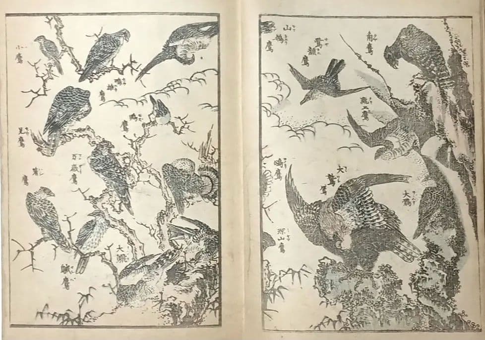 北斎画宛二編（色摺版画本)葛飾北斎画明治初期、後摺再板になります（初版は天保3年