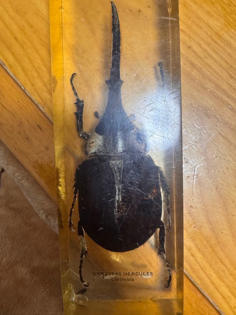 euphoria くじ 帆刈叶 缶バッジ まとめ売り 8個