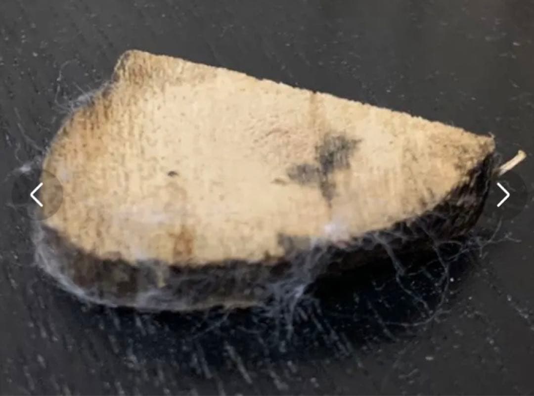 売切り価格 千葉古寺や宝蔵品 天然香木伽羅 蜜(香木伽羅沈香)3.8万円の品特割