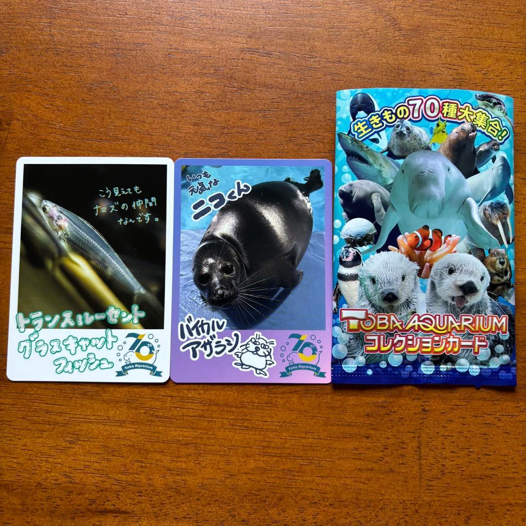 鳥羽水族館 コレクションカード ニコくん - メルカリ