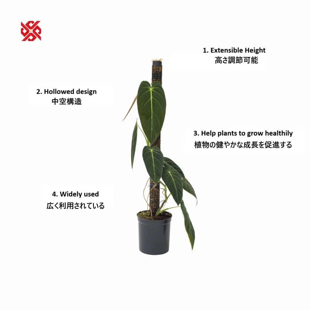 モスポール　水苔入り済 生産プロの秘訣　植物用上り棒180本まとめ29cmサイズ