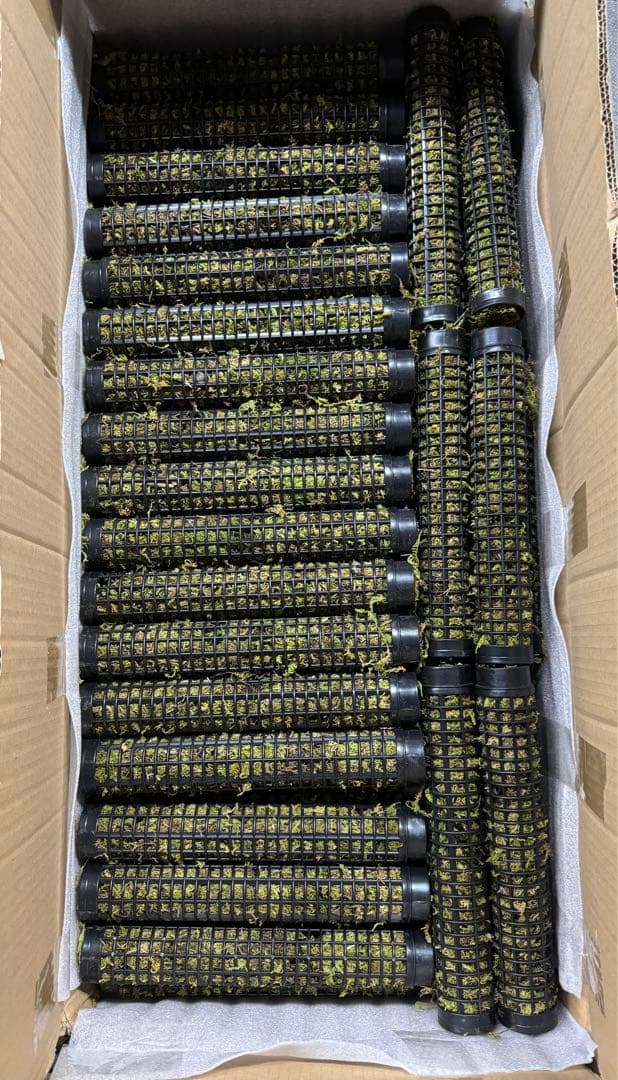 モスポール　水苔入り済 生産プロの秘訣　植物用上り棒180本まとめ29cmサイズ