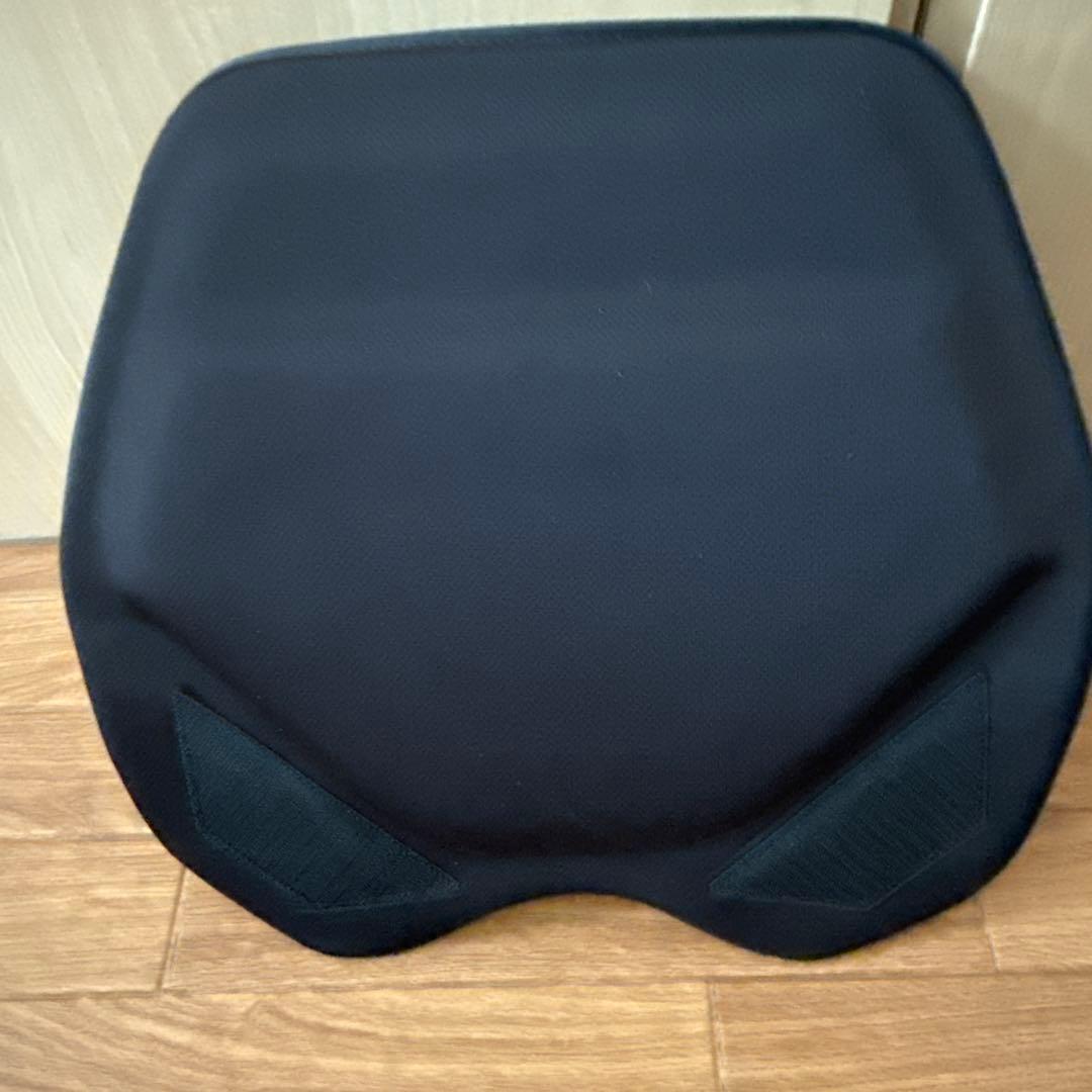 EXGEL ハグドライブバッククッション