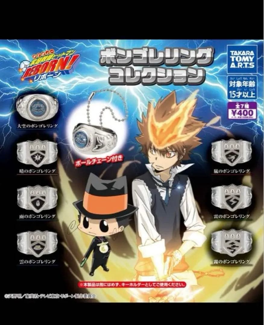 家庭教師ヒットマンREBORN! ボンゴレリングコレクション 嵐 守護者 獄