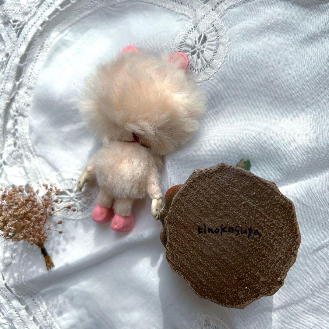 kinokosupa チビドール