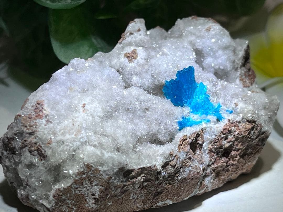 スチルバイト共生　解放のストーン　カバンサイト　原石ラフストーン