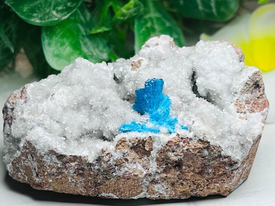 スチルバイト共生　解放のストーン　カバンサイト　原石ラフストーン