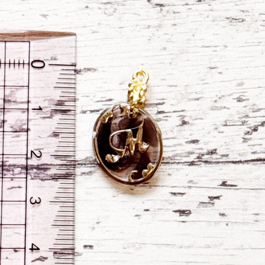 新色✧パルムんオリジナルレジン♥️大人アンティーク調イニシャル