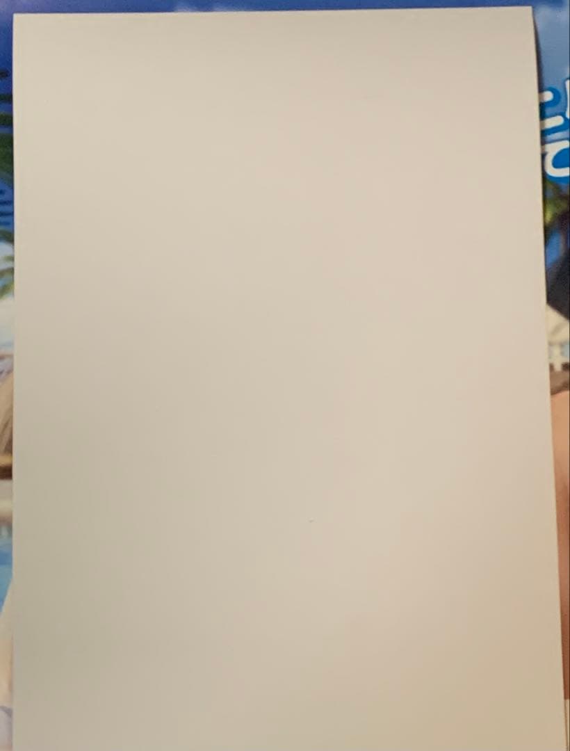 【B2半裁】 ドラッグオンドラグーン 販促 短冊型 ポスター 非売品