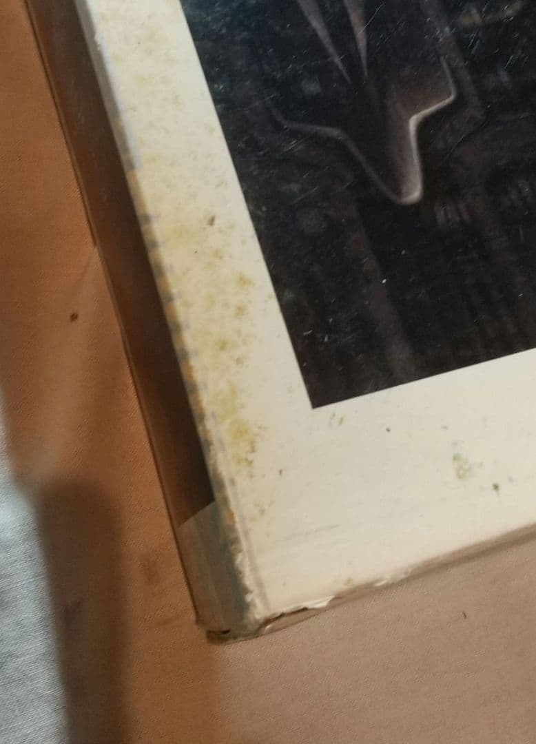 HR GIGER ジグソーパズル1000ピース