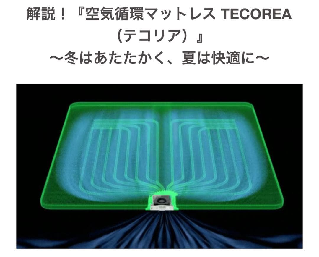 【新品】【定価80%OFF】空気循環マットレス テコリア クイーン