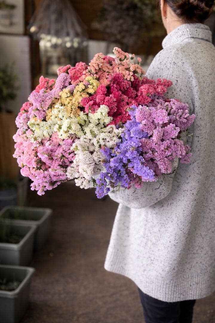 スターチス　ニュアンス系お任せmix 80→100本