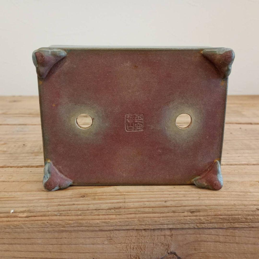 盆栽　平安香山鉢　鉢寸法11.3×3.8×4.3