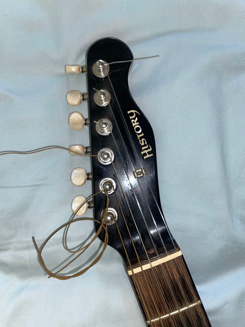 History エレガットギター HEG-120