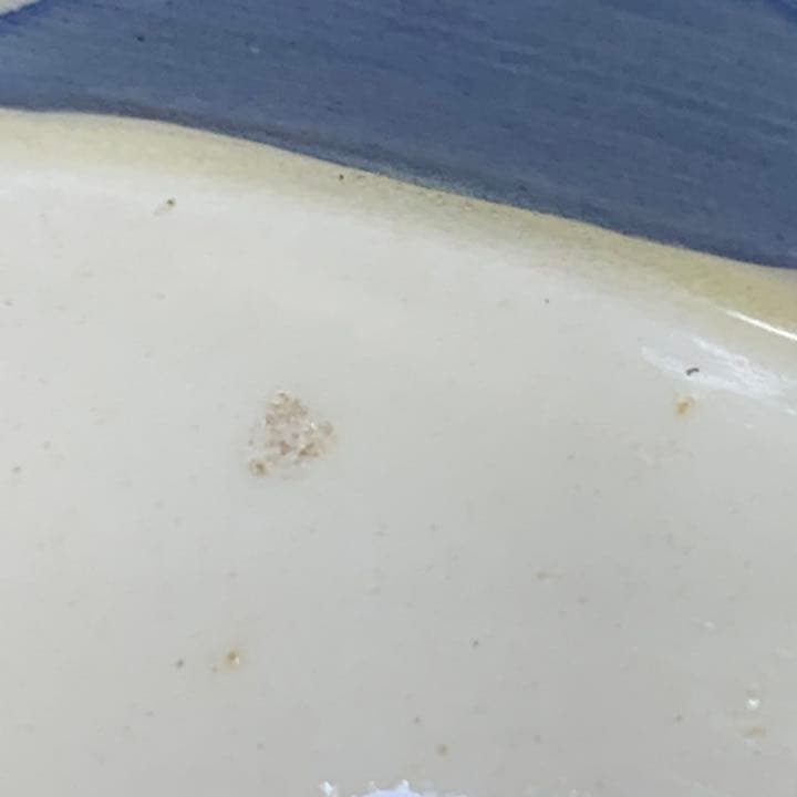 【セール】スージークーパー ノーズゲイ ポット