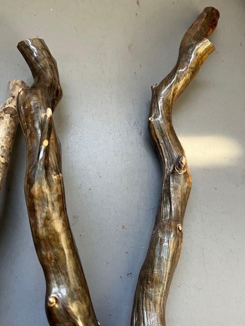 深海松 レインボーコーラル 根付け｜深海松 レインボーコーラル 根付け