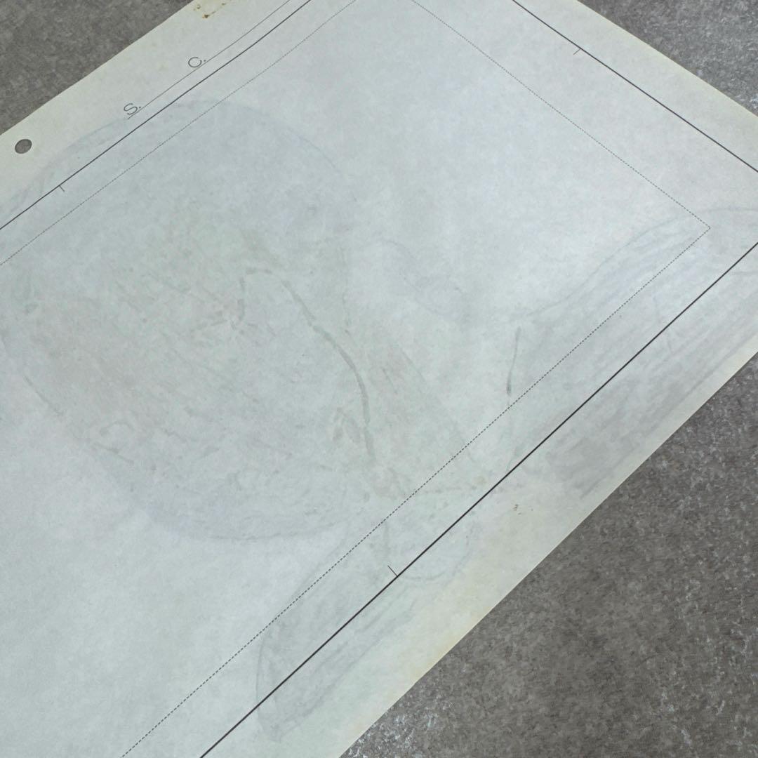 希少 おもひでぽろぽろ 岡島タエ子 セル画 C5 スタジオジブリ