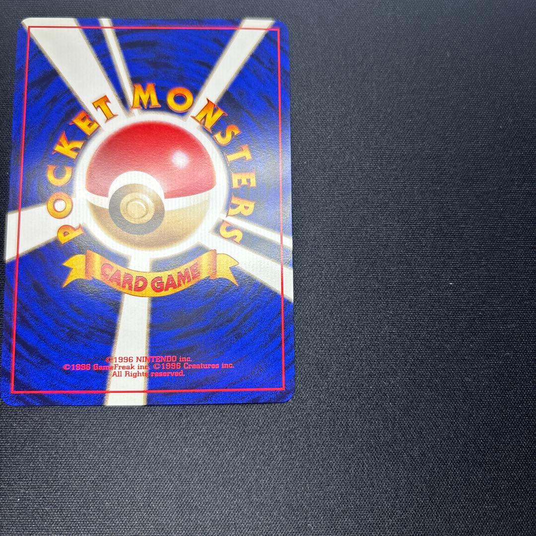 ライチュウ イントロパック