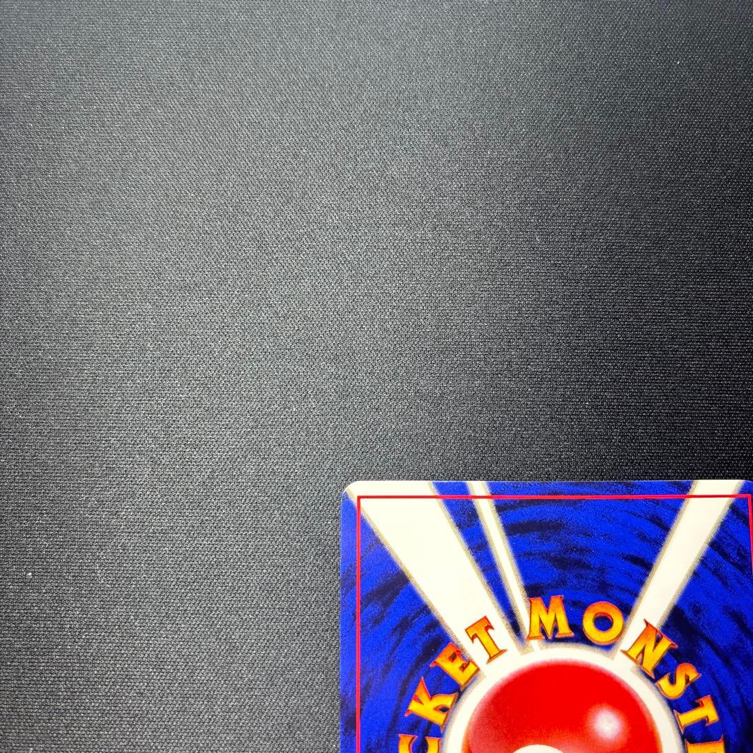 ライチュウ イントロパック