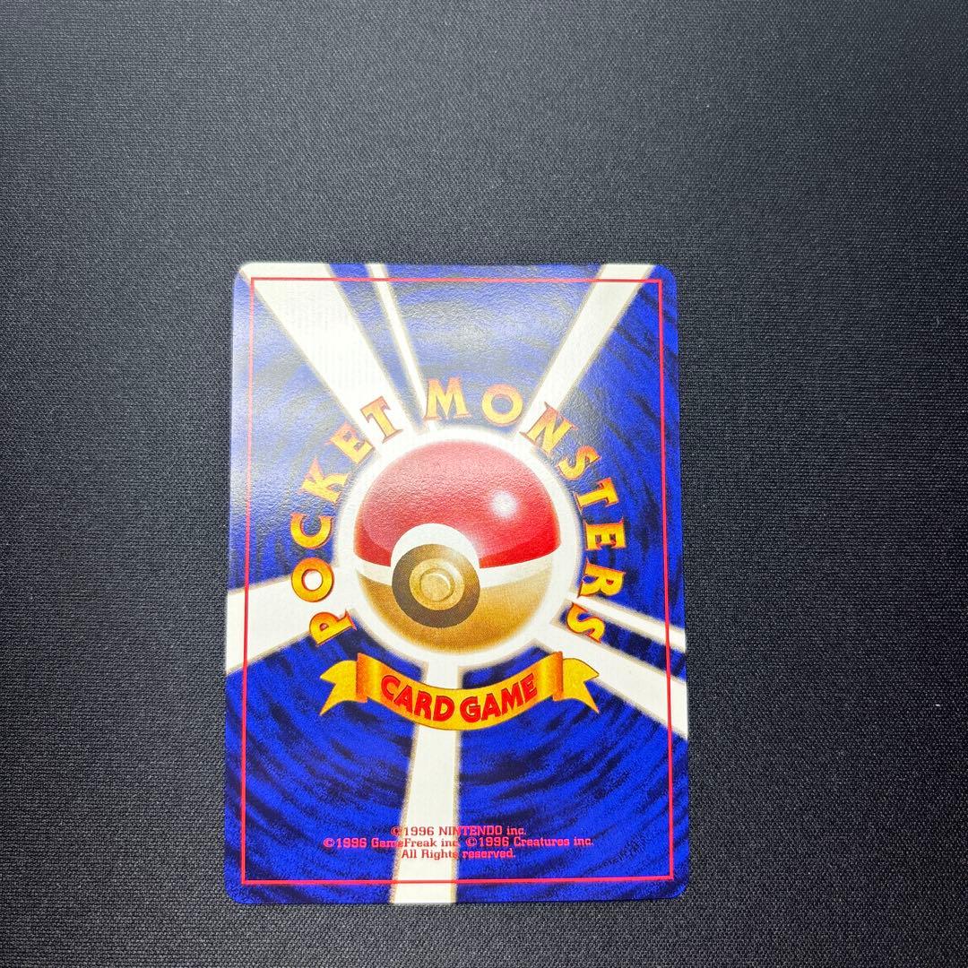 ライチュウ イントロパック